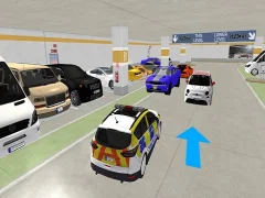 Real Car Parking 