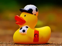 Laro Yellow Ducks Puzzle online