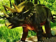 Triceratops Dinosaur Puzzle — لعبة مجانية اون لاين