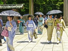 100 Butterflies in Japan — 무료 온라인 게임