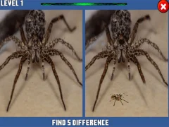 Igra Spider Hidden Difference online