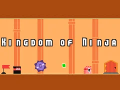 Kingdom of Ninja — free online game