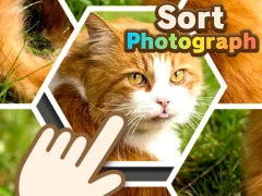Sort Photograph – tasuta veebimäng