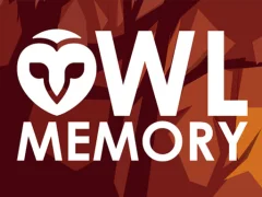 Xogo Owl Memory en liña