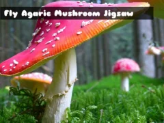 Fly Agaric Mushroom — لعبة مجانية اون لاين