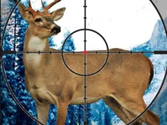 Sniper Stag Hunter — لعبة مجانية اون لاين