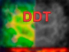 DDT — 무료 온라인 게임