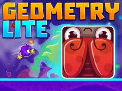 Spill Geometry Lite online