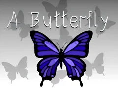 A Butterfly