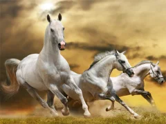Running Horse Slide — 무료 온라인 게임