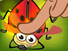 Igra Insect Cush spletu