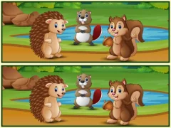 Hra Spot The Differences Forests