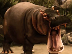 Igra Wild Hippopotamus Hunting online
