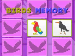 שפּיל Kids Memory With Birds אָנליין