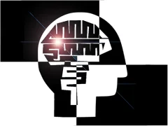 Memory Match Jungle Animals — 무료 온라인 게임