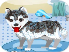 Spill My Cute Dog Bathing online