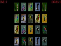 Spill Memorize the birds online