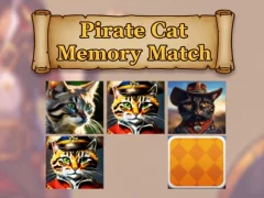 Pirate Cat Memory Match