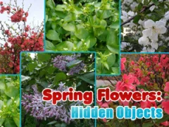 Spring Flowers: Hidden Objects — 무료 온라인 게임