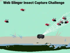 Web Slinger Insect Capture Challenge