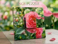 खेल NGS Puzzle ऑनलाइन