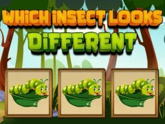 Hra Which Insect Looks Different