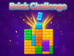 Brick Challenge
