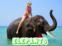 Spill Elephants Puzzle online