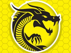 Kung Fu Fury — 無料オンラインゲーム