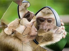 Spill Chimpanzee Jigsaw online