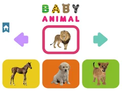 Baby Animal – kostenloses Online-Spiel