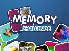 Memory Challenge — 무료 온라인 게임