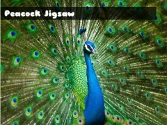 Peacock Jigsaw — لعبة مجانية اون لاين