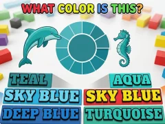 What Color Is This — free online game