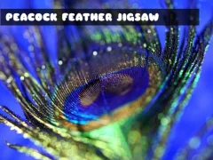 Laro Peacock Feather Jigsaw online