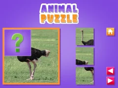 Spil Animal Puzzle online