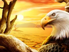 Igra Eagle spletu