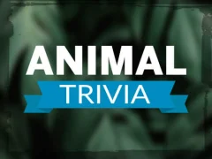 Igra Animal Trivia spletu