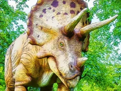 Giant Triceratops Puzzle — لعبة مجانية اون لاين