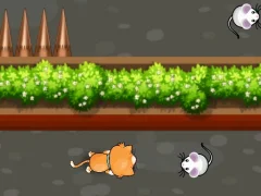 Гаме Cat Trap Labyrinth Escape онлајн