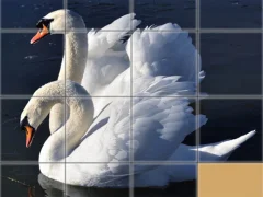 Animals Slide Puzzle — لعبة مجانية اون لاين