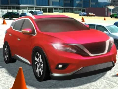 Xogo Driving Test Simulator en liña