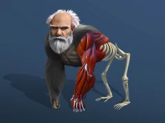 Гаме Idle Evolution From Cell To Human онлајн