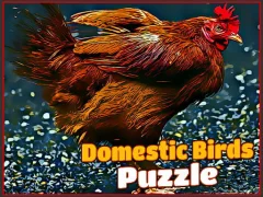 Domestic Birds Puzzle — لعبة مجانية اون لاين