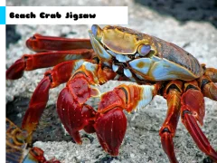 Beach Crab Jigsaw – tasuta veebimäng