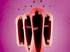 Funny Chorus — bezmaksas tiešsaistes spēle