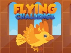 Flying Challenge — bezmaksas tiešsaistes spēle