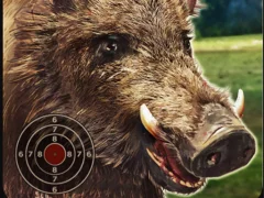 Wild boar Hunting — bezplatná online hra