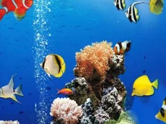 Sea Underwater Difference — 무료 온라인 게임