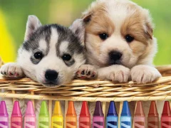 Puppy Coloring — free online game